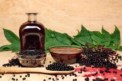 Backyard Survival Herbs - Elderberry - For Taste or Tonic