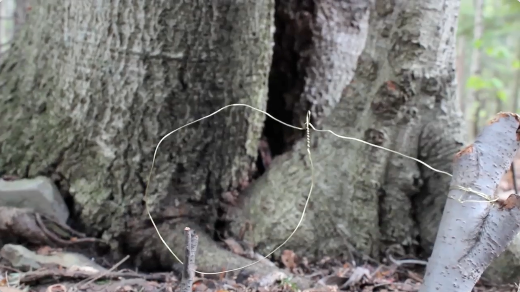 How to Make a Snare Trap Trapping Tip Card T-3
