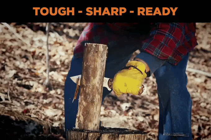 Tough, sharp, ready: carving with the Elite X
